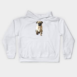 Morty the Pug Kids Hoodie